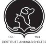Destitute Animal Shelter