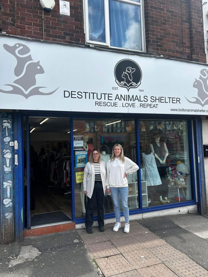 Destitute Animal Shelter