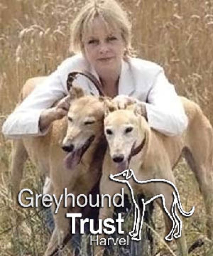 Greyhound Trust Harvel