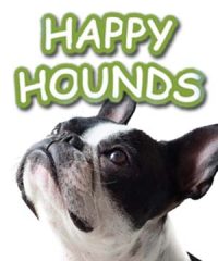 Happy Hounds (Islington)