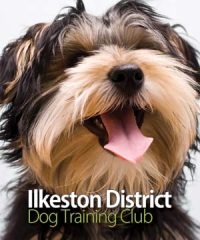 Ilkeston District Dog Training Club