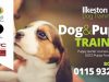 Ilkeston District Dog Training Club