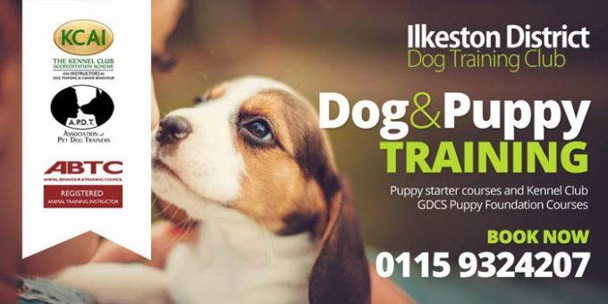 Ilkeston District Dog Training Club