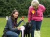 Ilkeston District Dog Training Club