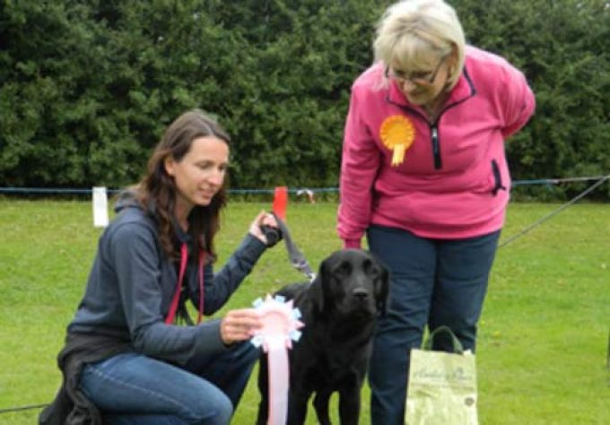 Ilkeston District Dog Training Club