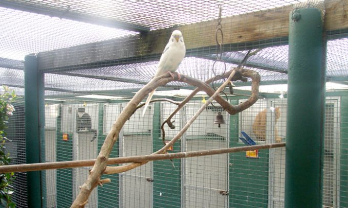 London & Essex Kents Farm Kennels & Cattery