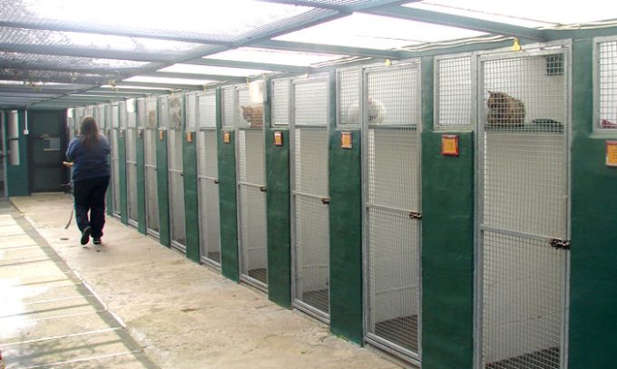 London & Essex Kents Farm Kennels & Cattery