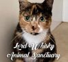 Lord Whisky @ Park House Animal Sanctuary