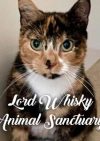 Lord Whisky @ Park House Animal Sanctuary