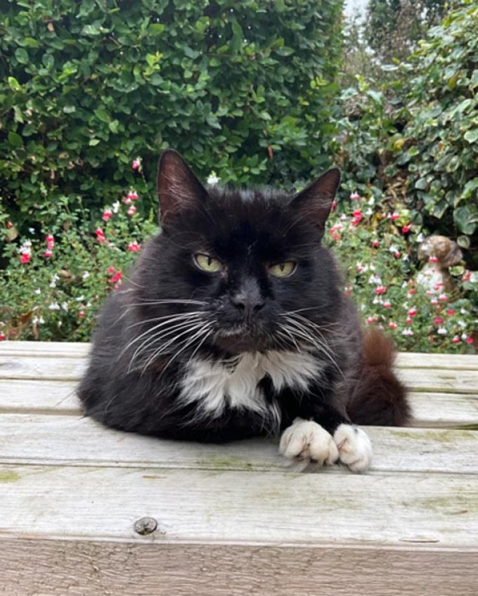 Lord Whisky @ Park House Animal Sanctuary