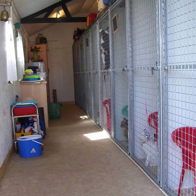 Manston Boarding Kennels & Cattery