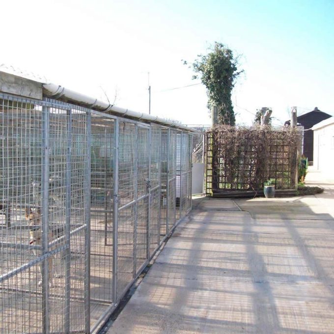Manston Boarding Kennels & Cattery