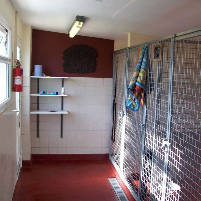 Manston Boarding Kennels & Cattery