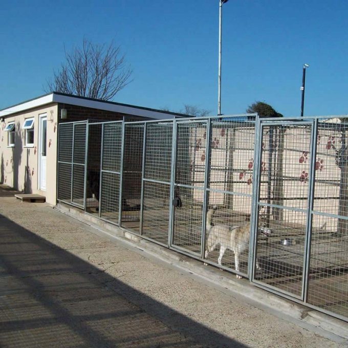 Manston Boarding Kennels & Cattery