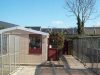 Manston Boarding Kennels & Cattery