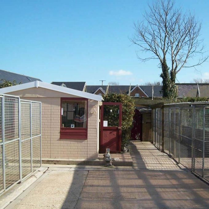 Manston Boarding Kennels & Cattery