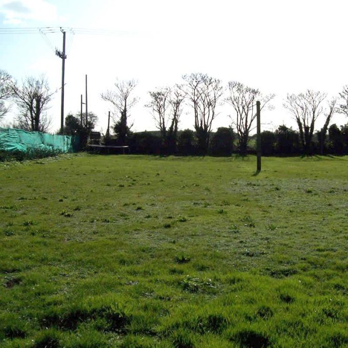 Manston Boarding Kennels & Cattery