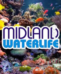 Midland Waterlife