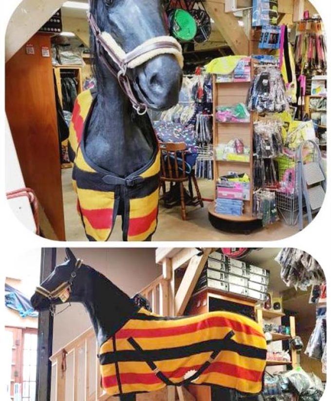 Pednor Equestrian Supplies (Pednor Rugs)