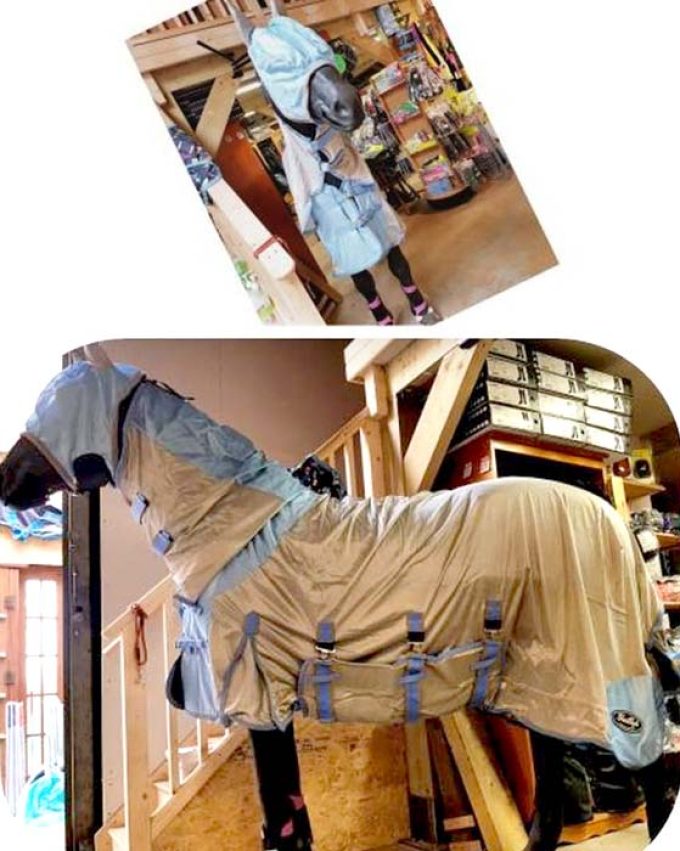 Pednor Equestrian Supplies (Pednor Rugs)