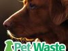Pet Waste Solutions