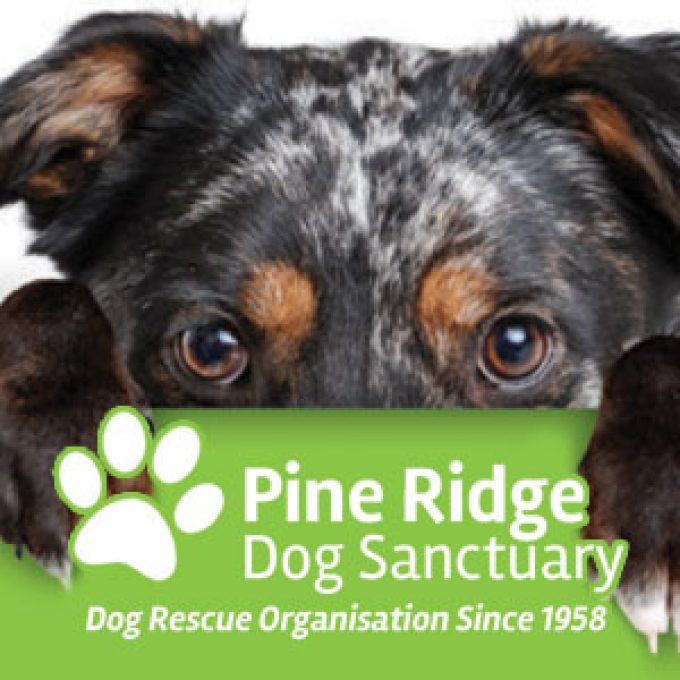 Pine Ridge Dog Sanctuary