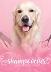Shampooches
