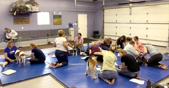 Tall Grass Animal Acupressure