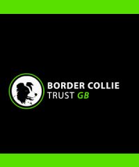 Border Collie Trust GB