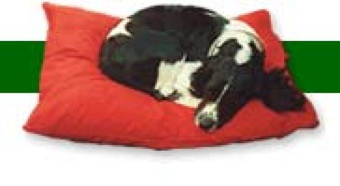 Kennel Mate