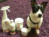 Botanica International Ltd