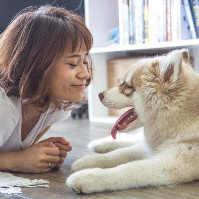  Happi Tails Home & Pet Sitting Services