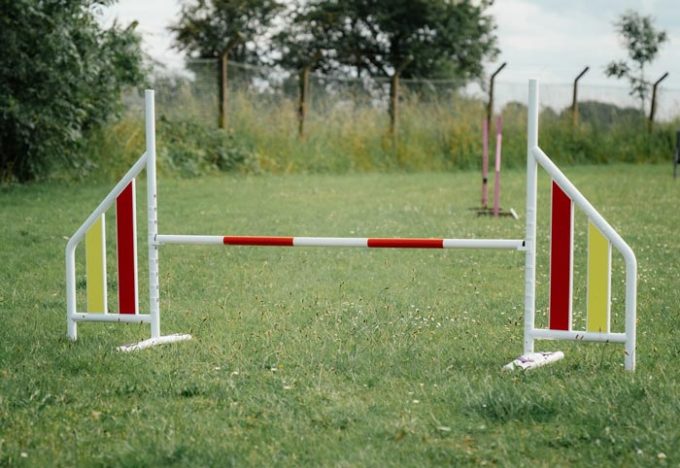 Naylor Agility