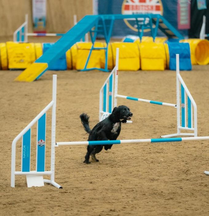 Naylor Agility