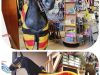 Pednor Equestrian Supplies (Pednor Rugs)