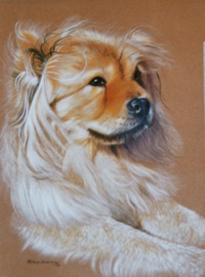 Anderson Art