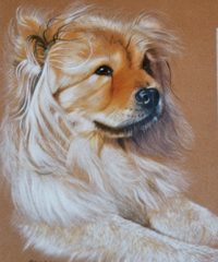 Anderson Art