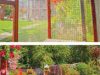Comfy Cats Cattery