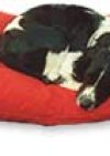 Kennel Mate