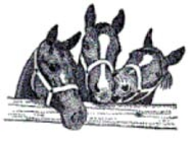 Old Barn Stables