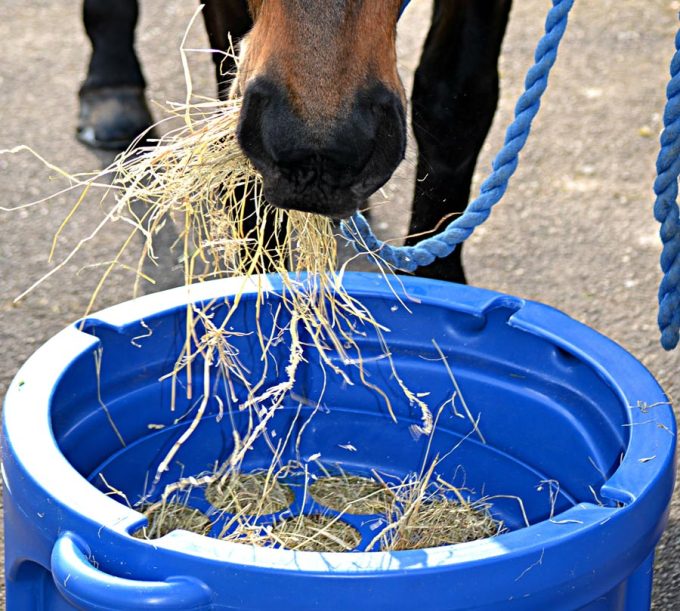 Natures Equine Ltd