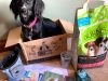 Burns Pet Nutrition 