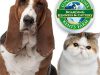 London & Essex Kents Farm Kennels & Cattery