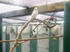London & Essex Kents Farm Kennels & Cattery