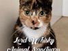 Lord Whisky @ Park House Animal Sanctuary