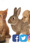 The Pet Food Shop