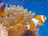 UnderWaterWorld