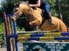 Underhill Riding Stables