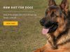 Kiezebrink UK Ltd