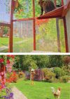 Comfy Cats Cattery